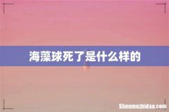海藻球死了是什么样的