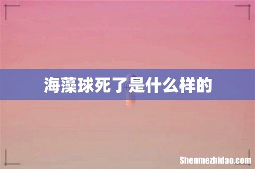 海藻球死了是什么样的