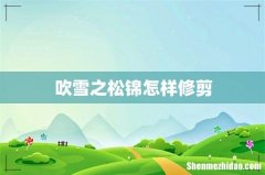 吹雪之松锦怎样修剪