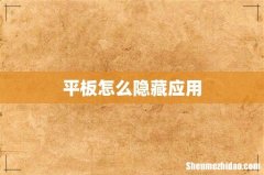 平板怎么隐藏应用