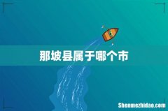 那坡县属于哪个市