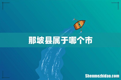 那坡县属于哪个市