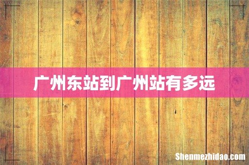 广州东站到广州站有多远