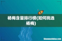 如何挑选杨梅 杨梅含量排行榜