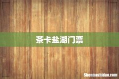茶卡盐湖门票