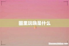 圈里玩嗨是什么
