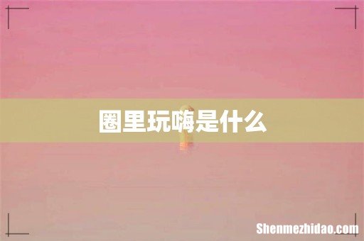 圈里玩嗨是什么