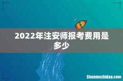 2022年注安师报考费用是多少