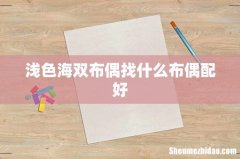 浅色海双布偶找什么布偶配好