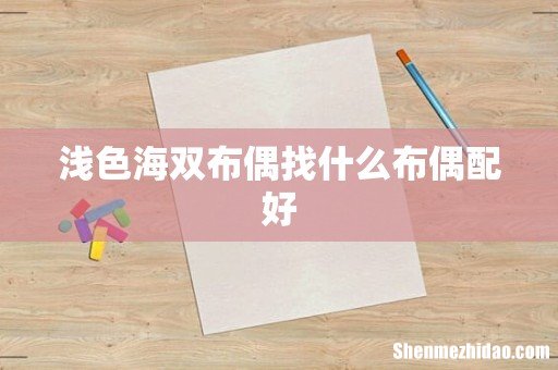 浅色海双布偶找什么布偶配好