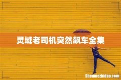 灵域老司机突然飙车全集