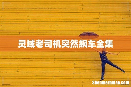 灵域老司机突然飙车全集