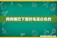 狗狗嘴巴下面的毛是白色的