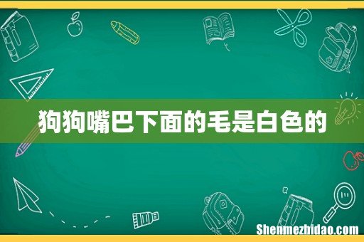 狗狗嘴巴下面的毛是白色的