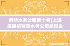 上海威派格智慧水务公司是国企吗 智慧水务公司前十名