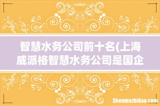 上海威派格智慧水务公司是国企吗 智慧水务公司前十名
