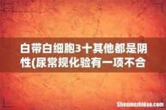尿常规化验有一项不合格，白细胞3+＞=Ca500，阴性，这是什么意思？身体没有不适表现。 Neg 白