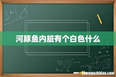 河豚鱼内脏有个白色什么
