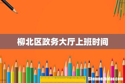 柳北区政务大厅上班时间