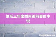 婚后三年离婚再追前妻的小说