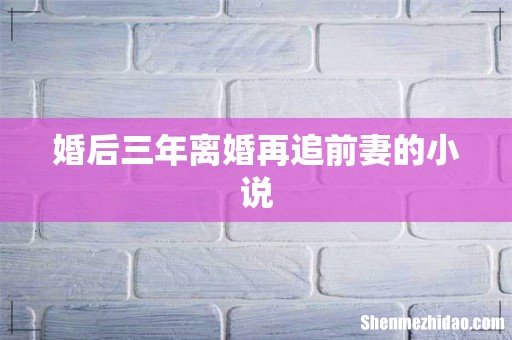 婚后三年离婚再追前妻的小说