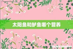 太阳鱼和鲈鱼哪个营养