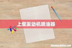 上柴发动机喷油器