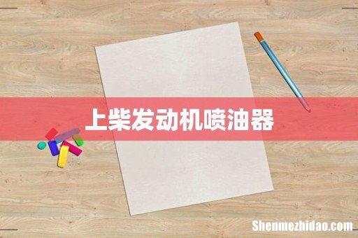 上柴发动机喷油器