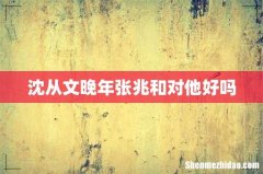 沈从文晚年张兆和对他好吗