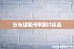 张志超案刑事案件侦查
