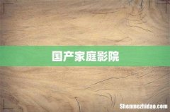 国产家庭影院