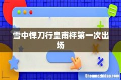 雪中悍刀行皇甫枰第一次出场