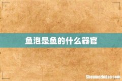 鱼泡是鱼的什么器官