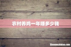 农村养鸡一年赚多少钱