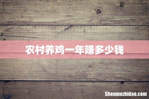 农村养鸡一年赚多少钱