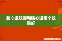 脑心通胶囊和脑心通哪个效果好