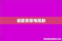 追爱家族电视剧