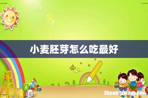 小麦胚芽怎么吃最好