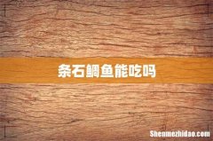 条石鲷鱼能吃吗