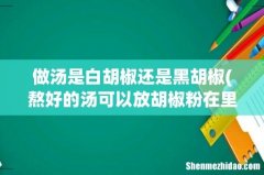 熬好的汤可以放胡椒粉在里面吗- 做汤是白胡椒还是黑胡椒