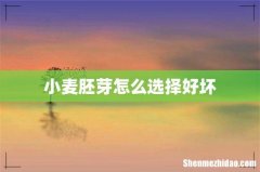 小麦胚芽怎么选择好坏