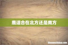 鹿适合在北方还是南方
