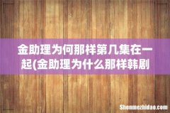 金助理为什么那样韩剧有哪些打动你的情节？ 金助理为何那样第几集在一起