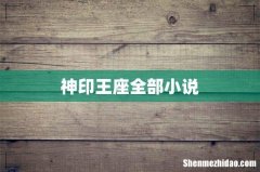 神印王座全部小说