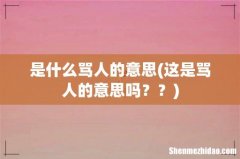 这是骂人的意思吗？？ 是什么骂人的意思
