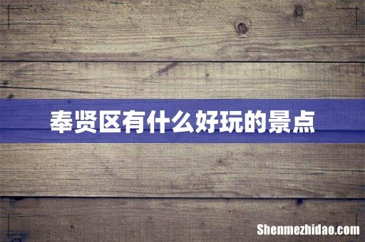 奉贤区有什么好玩的景点
