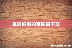 本最好看的京味高干文