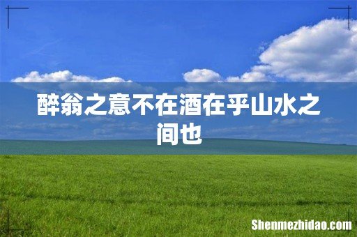 醉翁之意不在酒在乎山水之间也