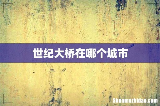 世纪大桥在哪个城市