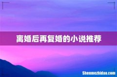 离婚后再复婚的小说推荐